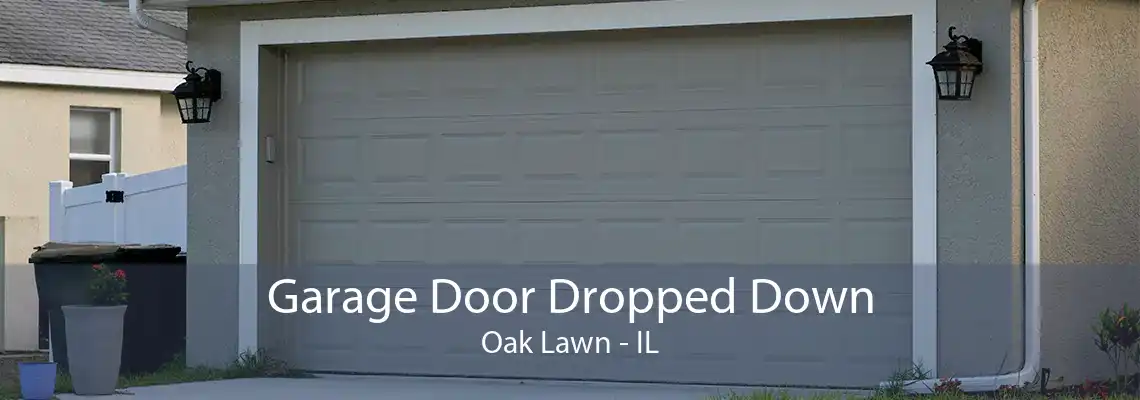 Garage Door Dropped Down Oak Lawn - IL