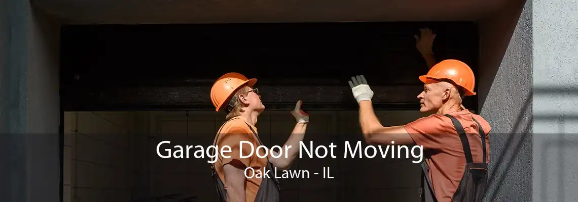 Garage Door Not Moving Oak Lawn - IL