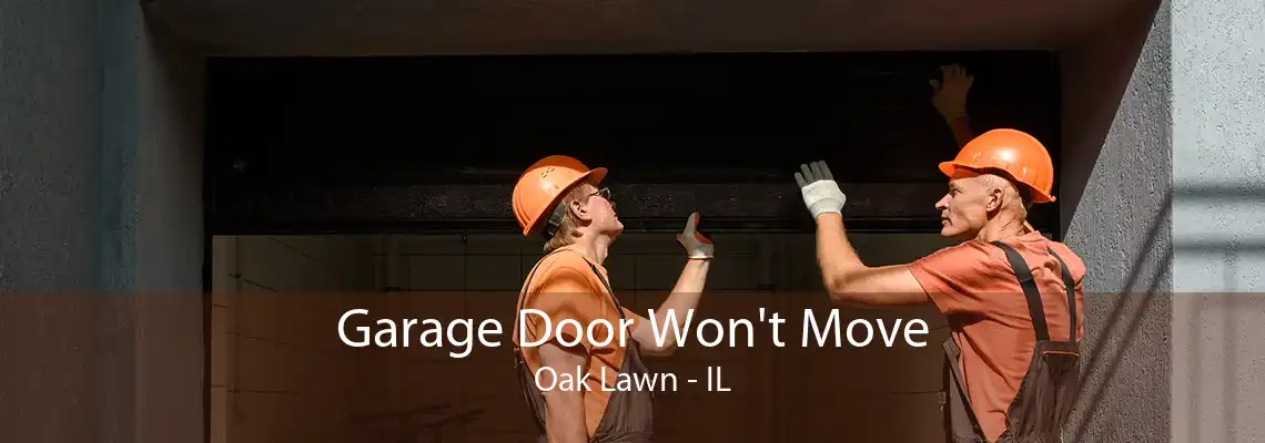 Garage Door Won't Move Oak Lawn - IL